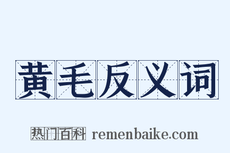 黄毛反义词是什么意思的图片